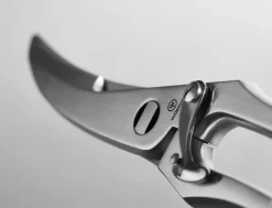 9" Stainless Steel Poultry Shears