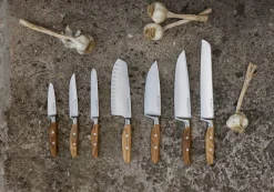 Amici 6