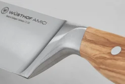 Amici 6